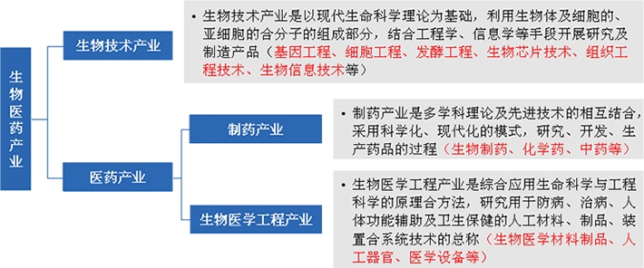 生物醫(yī)藥產(chǎn)業(yè)由生物技術產(chǎn)業(yè)與醫(yī)藥產(chǎn)業(yè)共同組成