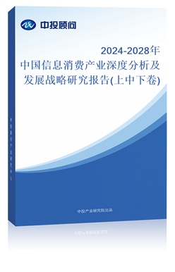 2018-2022年中國信息消費產(chǎn)業(yè)深度分析及發(fā)展戰(zhàn)略研究報告