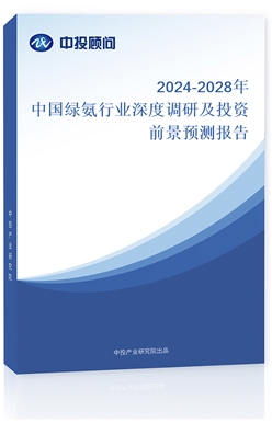 2024-2028ЇGИI(y){мͶYǰAy