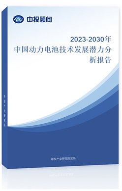 2023-2030Ї늳ؼg(sh)l(f)չ?ji)? class='bookImg' /></a></dt>	<dd>		<h4><a target='_blank' href=